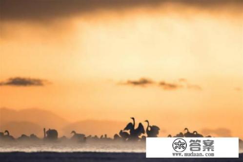 11月去哪游玩比较好？