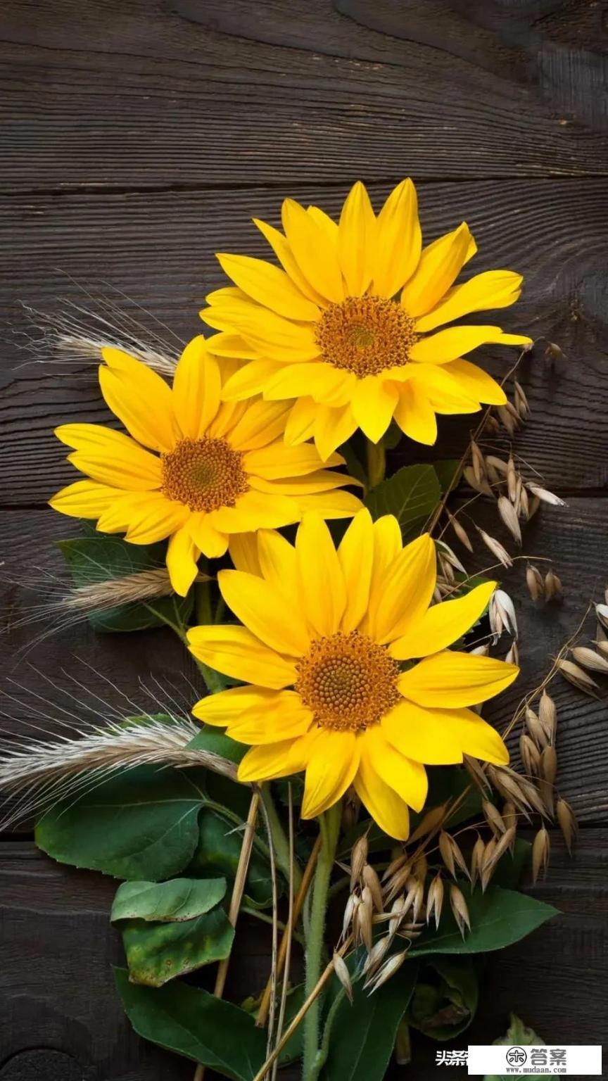 70年代的你在上课的时候,偷偷读过琼瑶的哪部爱情小说? 70年代的你在上课的时候,偷偷读过琼瑶的哪部爱情小说?