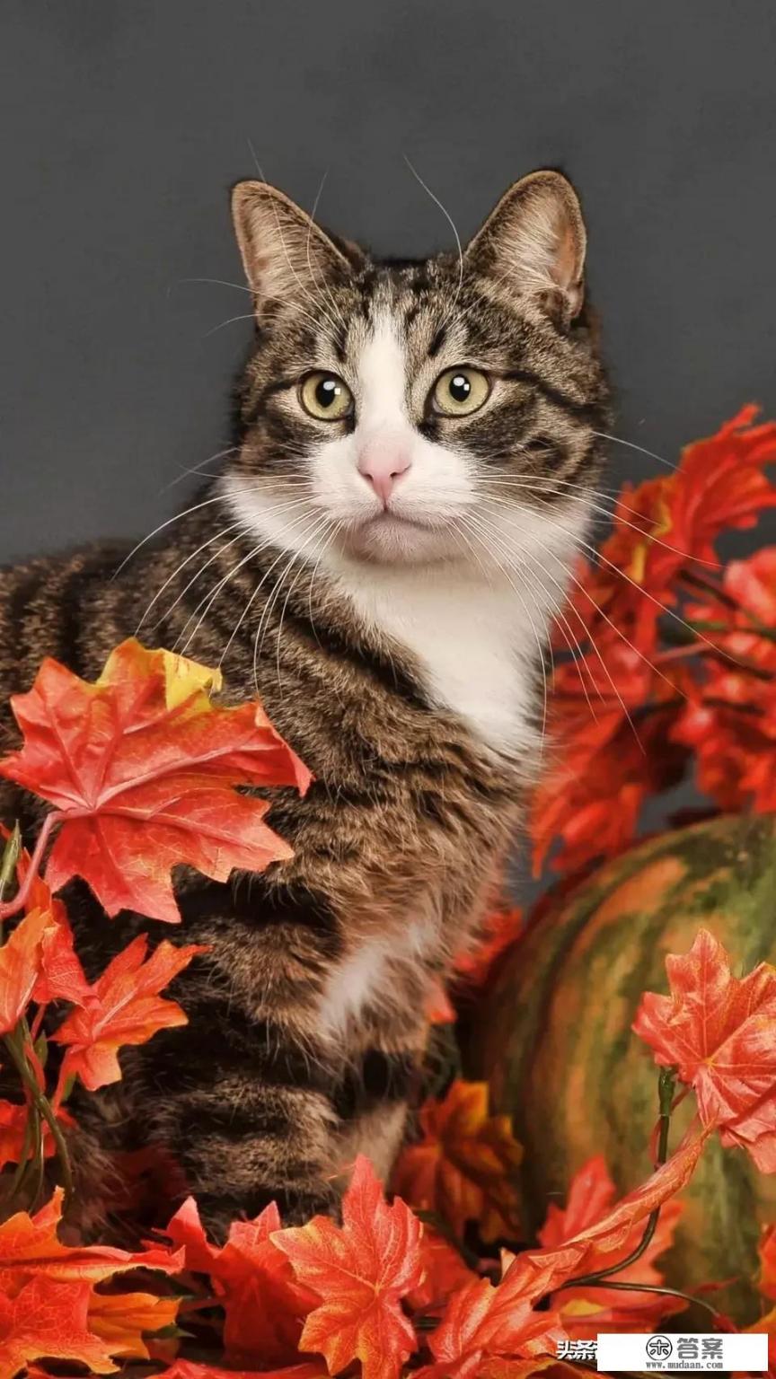 70年代的你在上课的时候,偷偷读过琼瑶的哪部爱情小说? 70年代的你在上课的时候,偷偷读过琼瑶的哪部爱情小说?