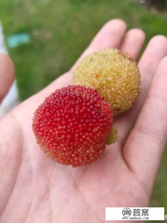 合租你经历过哪些事情？