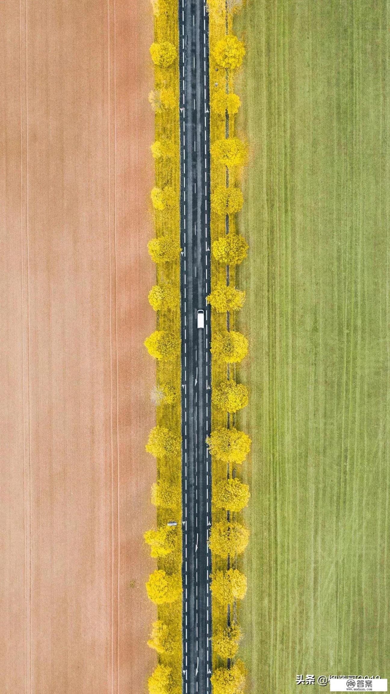 被上大学女友绿了三次，我该何去何从？