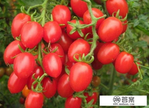 热量最高的十大食物？