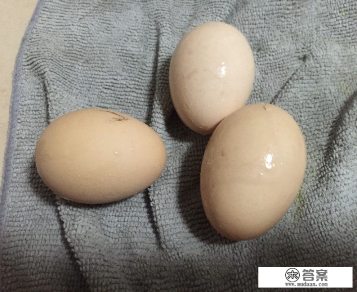 新鲜艾叶怎么做好吃? 新鲜艾叶怎么做好吃?