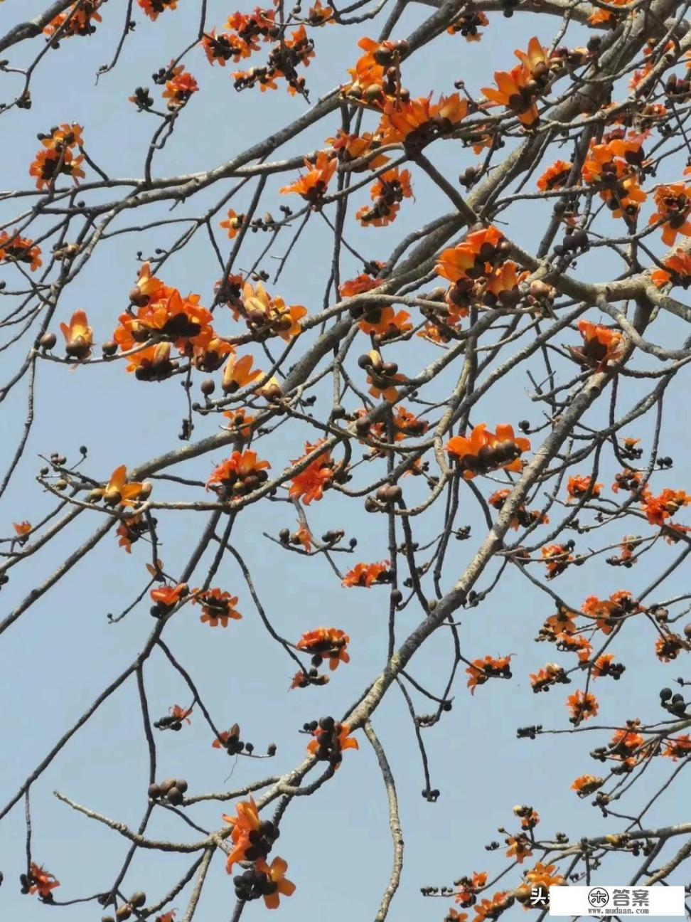 和好友一起玩的小游戏app？