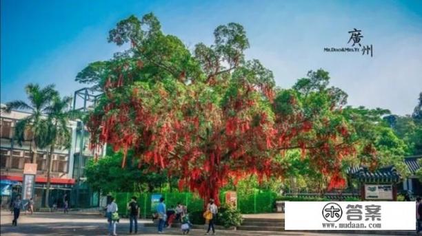 广州有哪些好玩的地方和漂亮的风景? 广州有哪些好玩的地方和漂亮的风景?