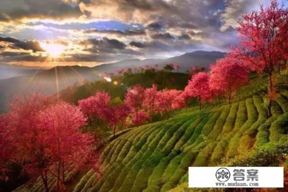 11月份适合去那玩？