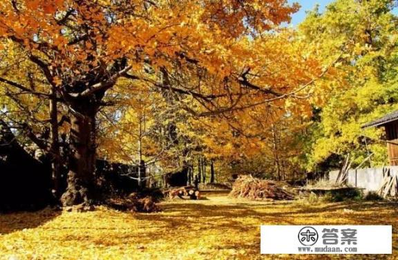 11月份适合去那玩？