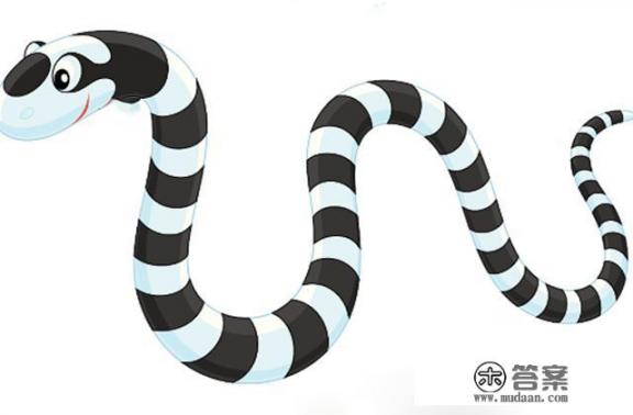 黄鳝为什么不怕蛇？