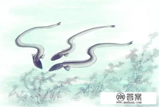 黄鳝为什么不怕蛇？