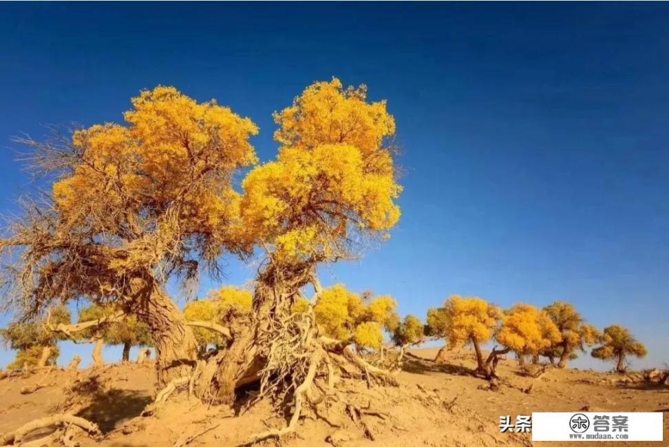 国庆哪里玩? 国庆哪里玩?