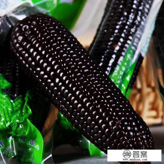 黑玉米和白玉米哪个营养价值好？减肥吃哪个好？