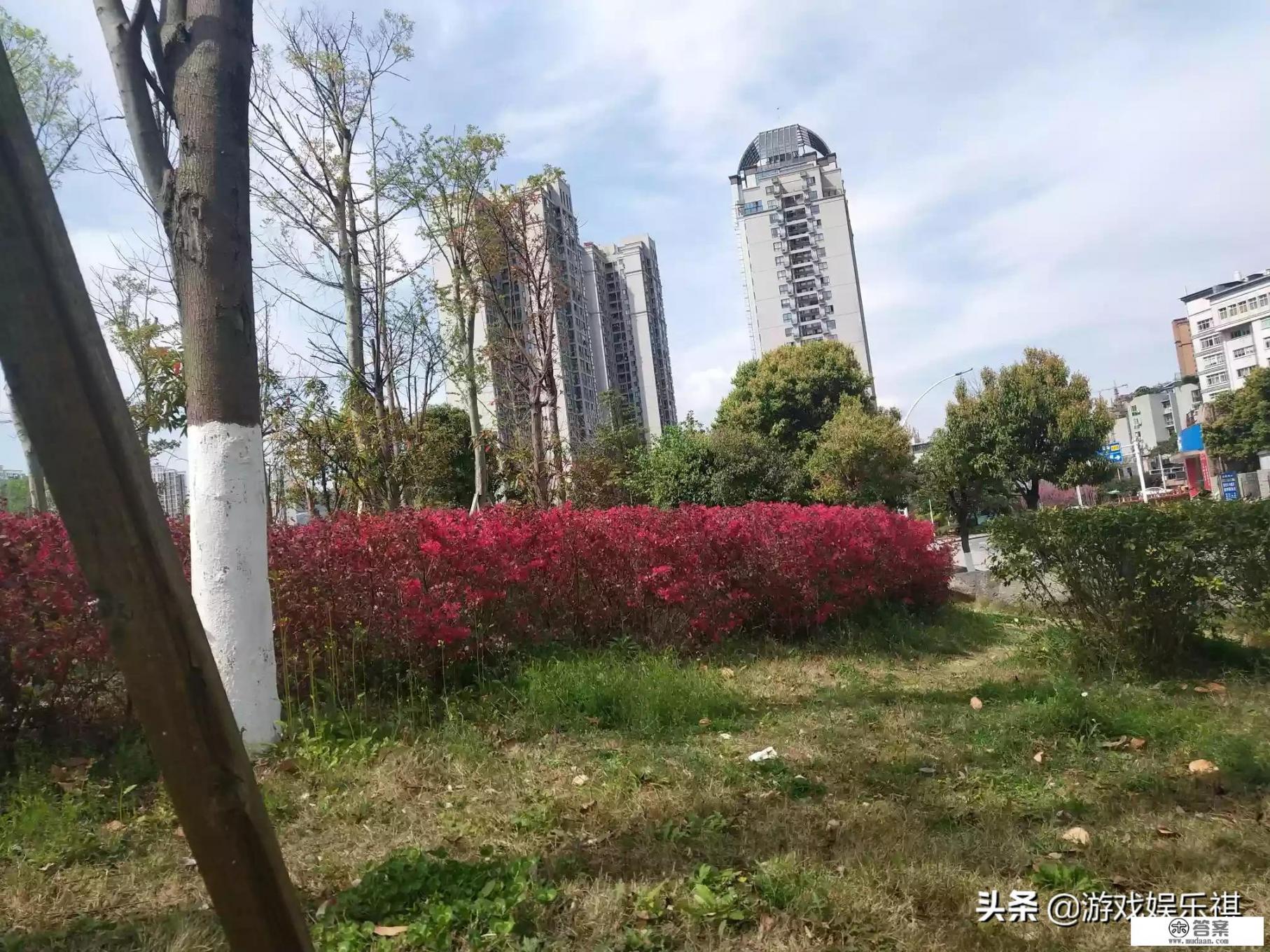 爱玩游戏的人性格怎么样？