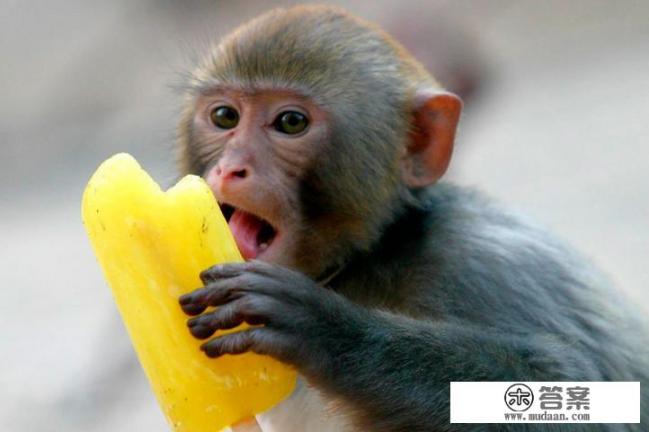 北京热的原因？