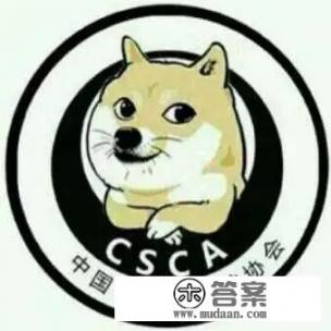 试分析大学生群体消费特点？