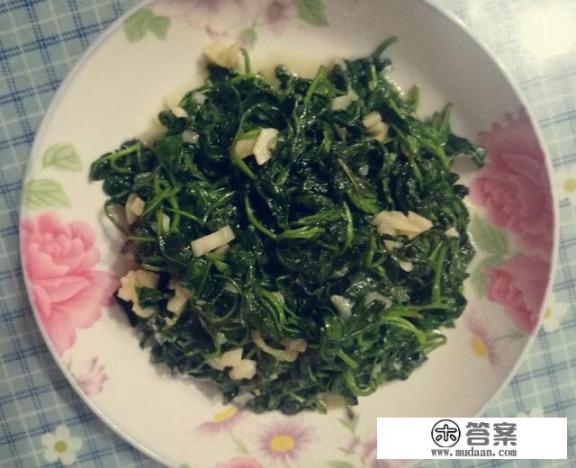 菊花脑的家常做法？