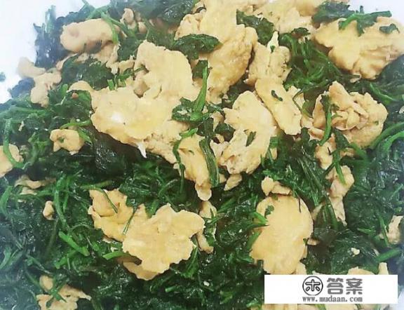 菊花脑的家常做法？