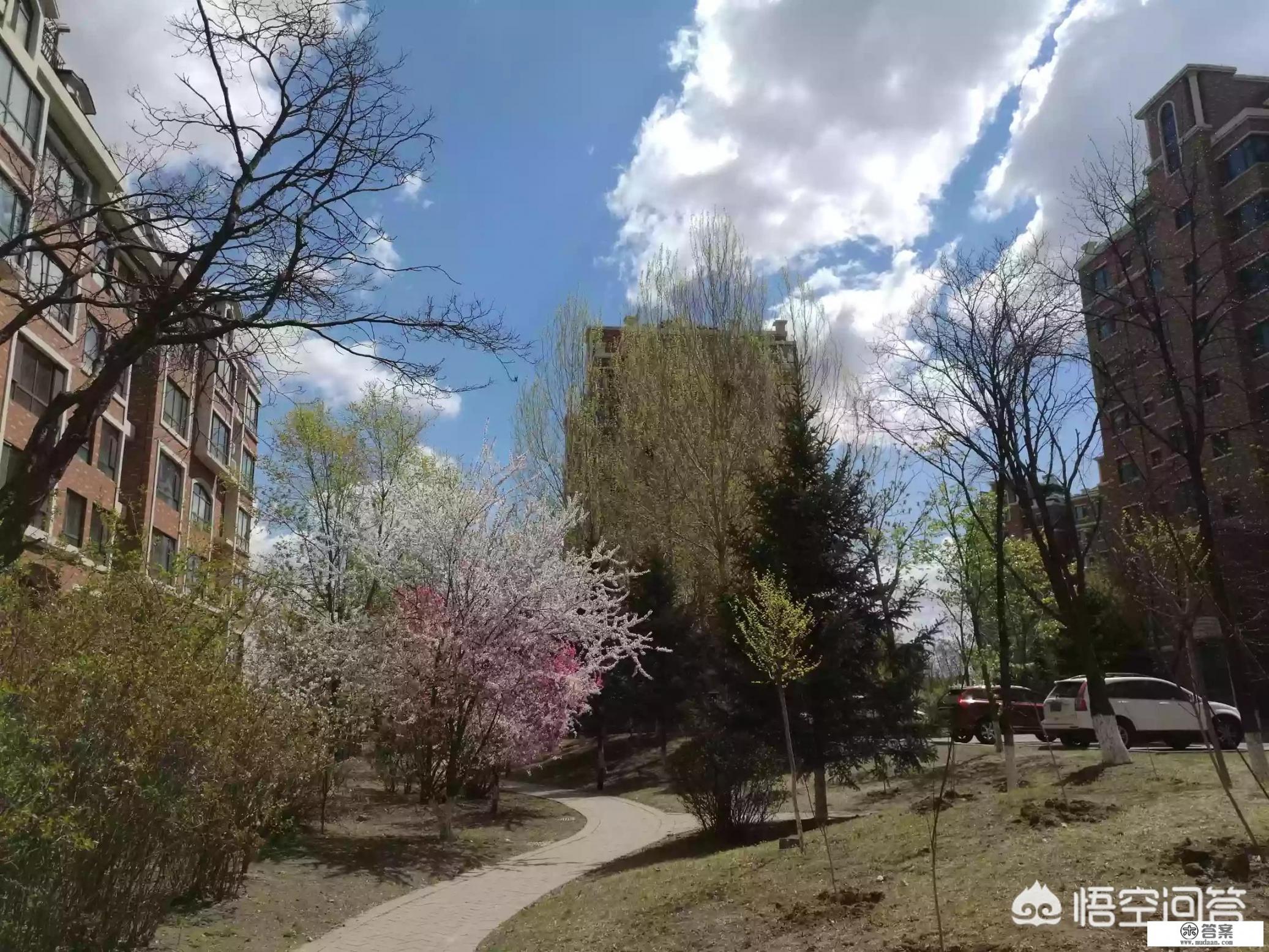 你周边的大美女(比如校花,司花等等),都嫁得好吗? 你周边的大美女(比如校花,司花等等),都嫁得好吗?