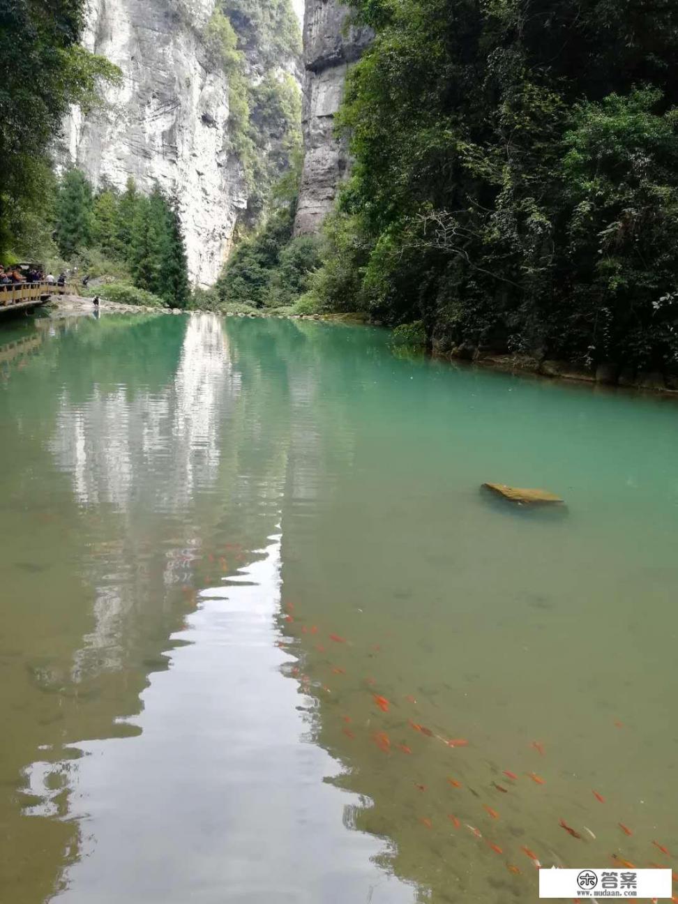 你周边的大美女(比如校花,司花等等),都嫁得好吗? 你周边的大美女(比如校花,司花等等),都嫁得好吗?