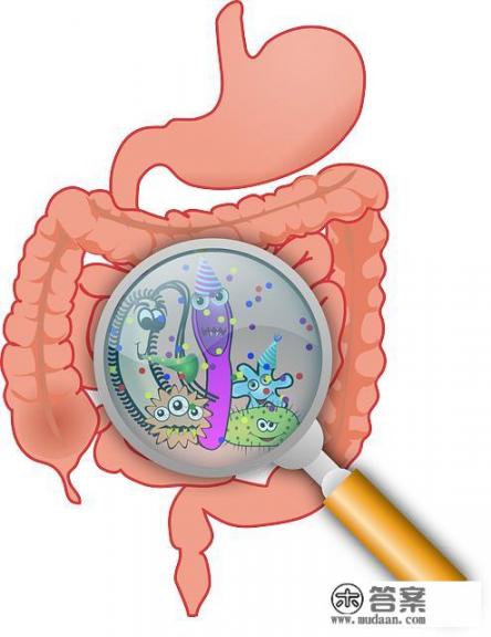 肠胃炎有什么症状? 肠胃炎有什么症状?