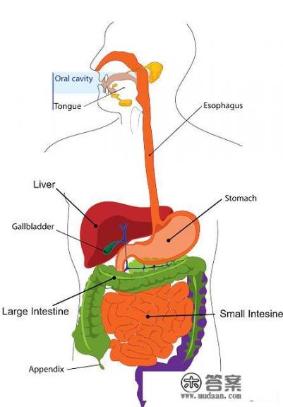 肠胃炎有什么症状? 肠胃炎有什么症状?