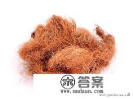 玉米须能降尿酸吗？