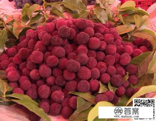 丽江本地时令水果缤纷上市，市民尝鲜正当时, 你怎么看？