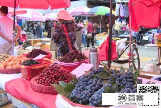 丽江本地时令水果缤纷上市，市民尝鲜正当时, 你怎么看？