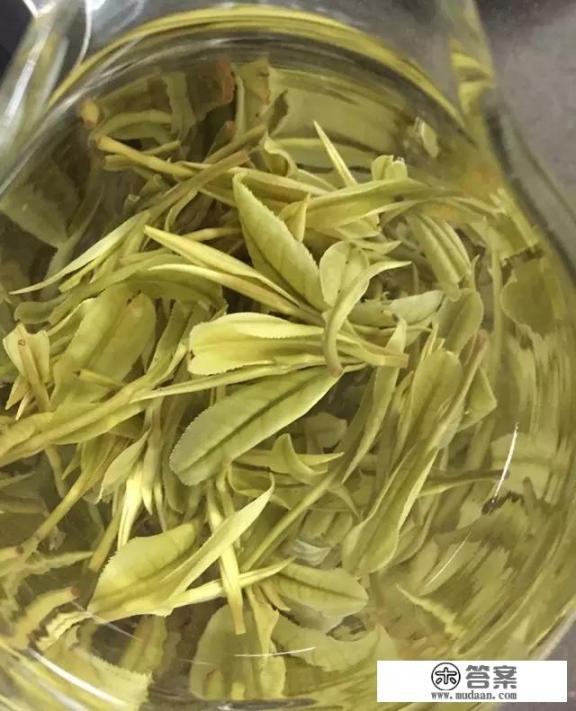 安吉白茶是什么茶？