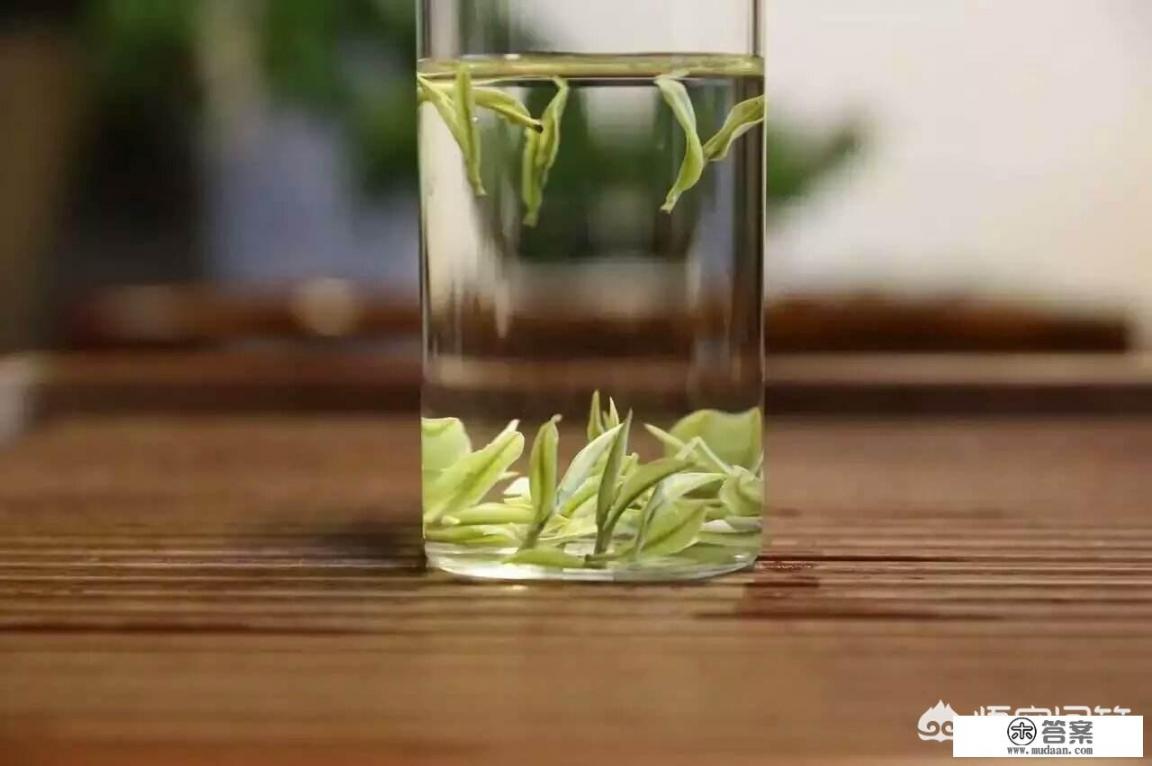 安吉白茶是什么茶？