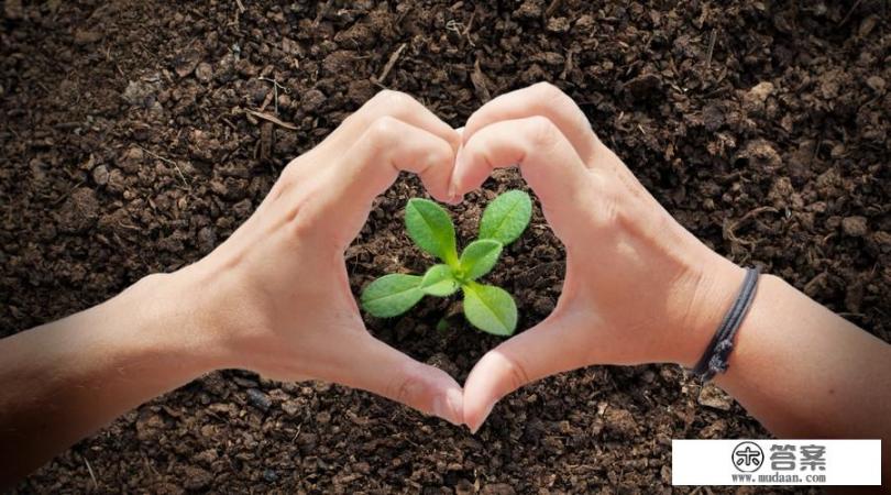 信用卡透支的危害有哪些？