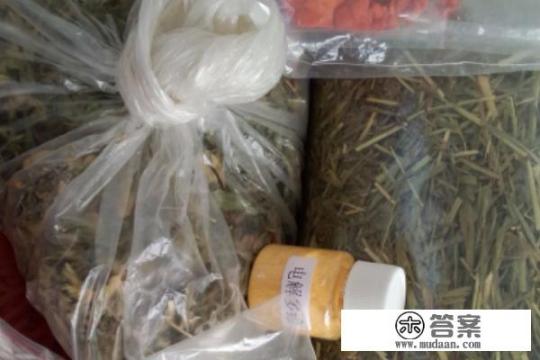 如何给荷兰猪兔子宠物做草饼的制作方法自制草饼？