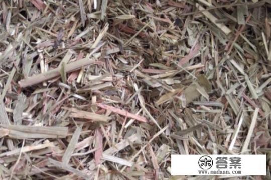 如何给荷兰猪兔子宠物做草饼的制作方法自制草饼？