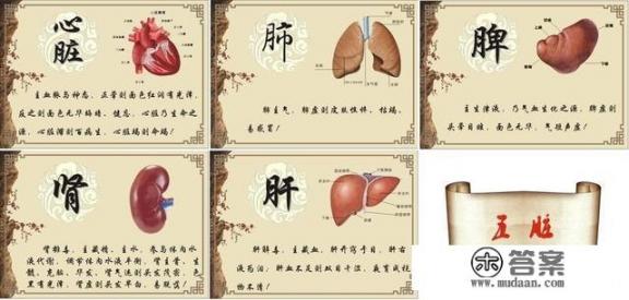 阳虚和阴虚有什么区别? 阳虚和阴虚有什么区别?