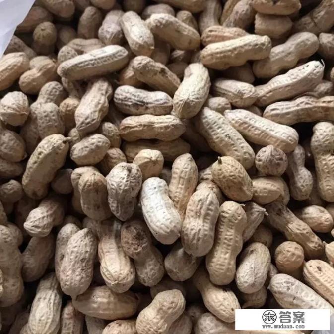 花生饼多少钱一斤？