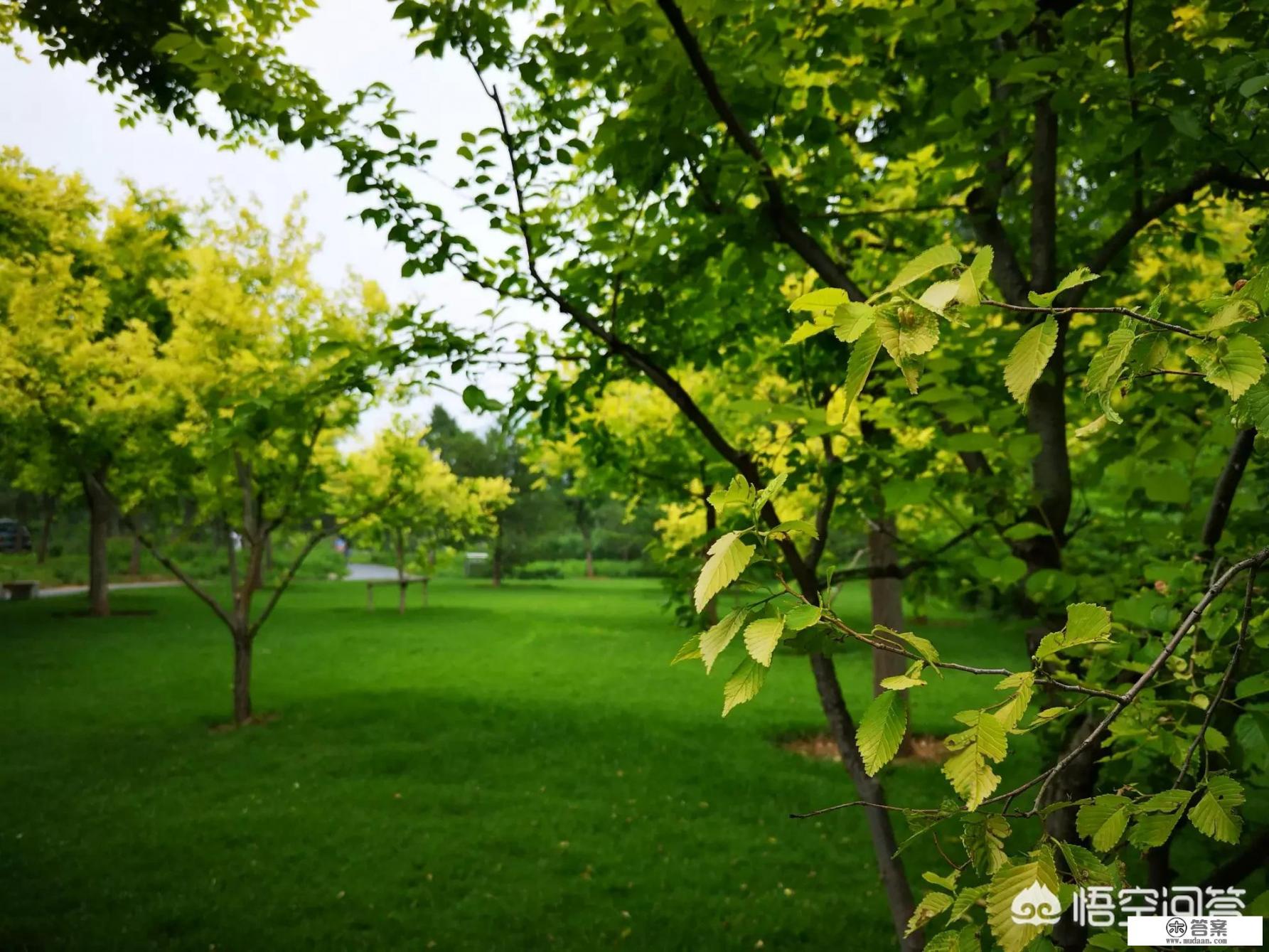 北京端午节去哪里玩？