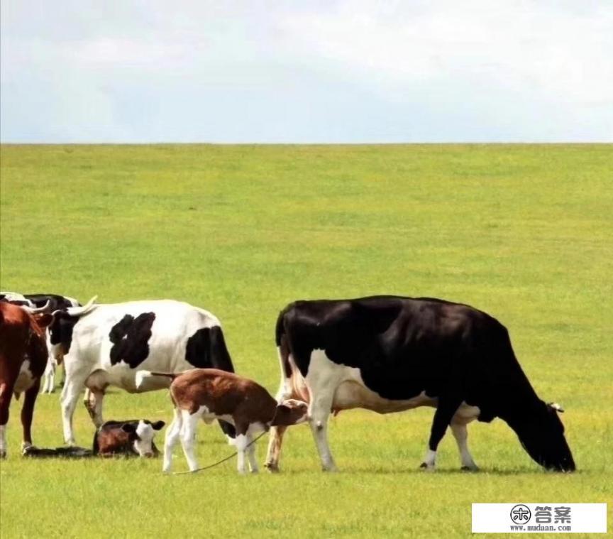 六一儿童节有什么好玩的地方上海? 六一儿童节有什么好玩的地方上海?