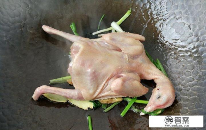 红烧鸽子肉最正宗的做法？