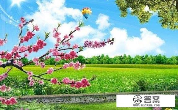 名著《复活》简介？