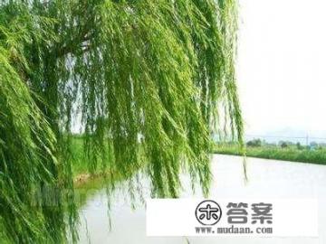 名著《复活》简介？