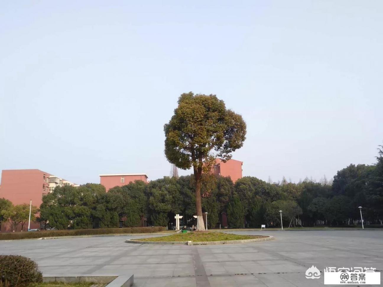 你读大学有哪些趣事？