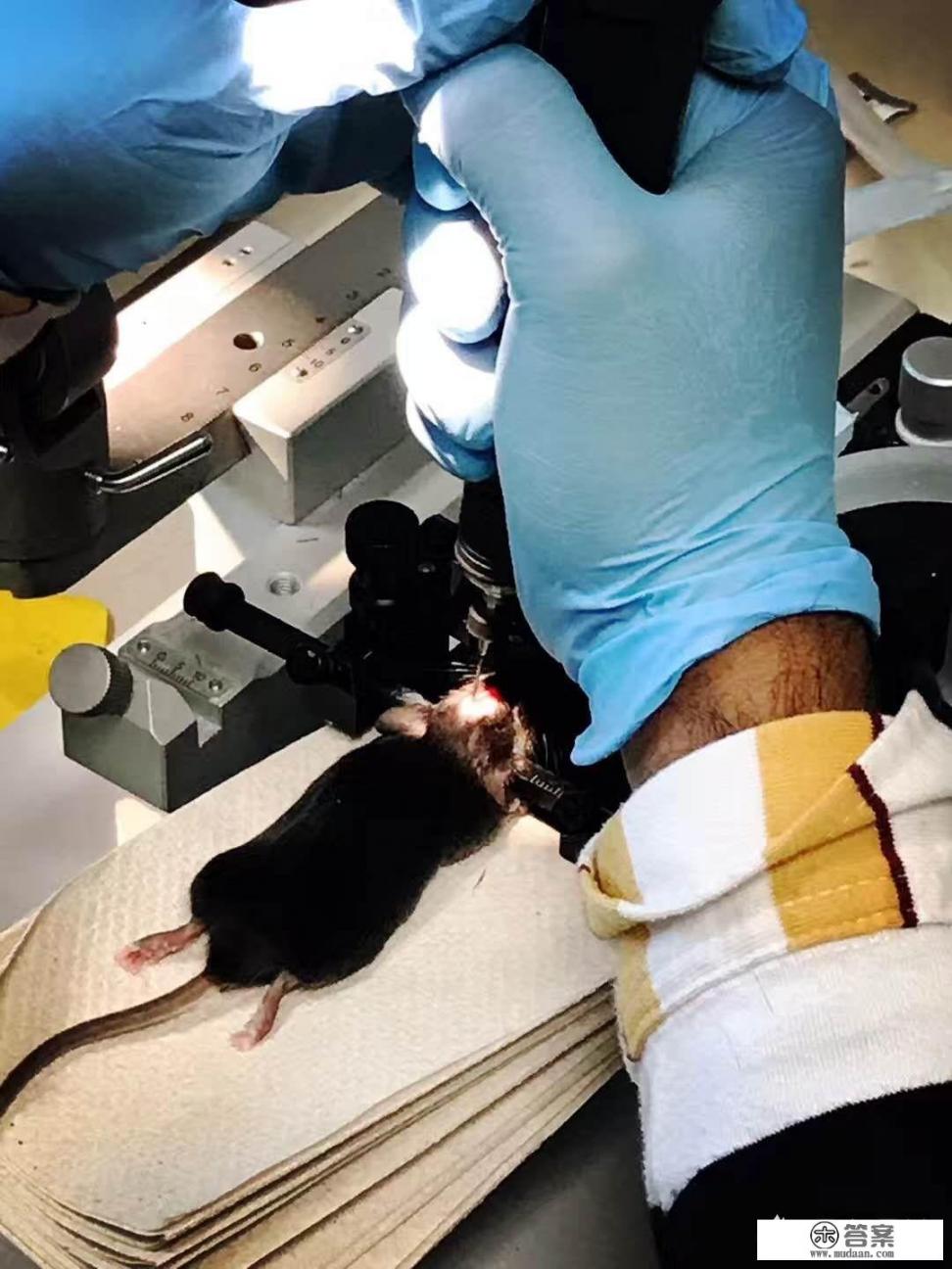 nmn是什么概念? nmn是什么概念?