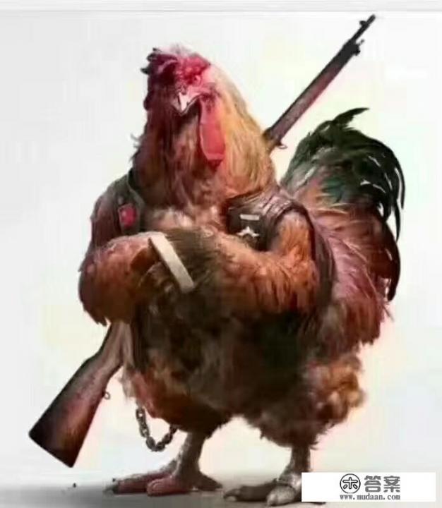 函授本科能考浙江海洋大学吗? 函授本科能考浙江海洋大学吗?