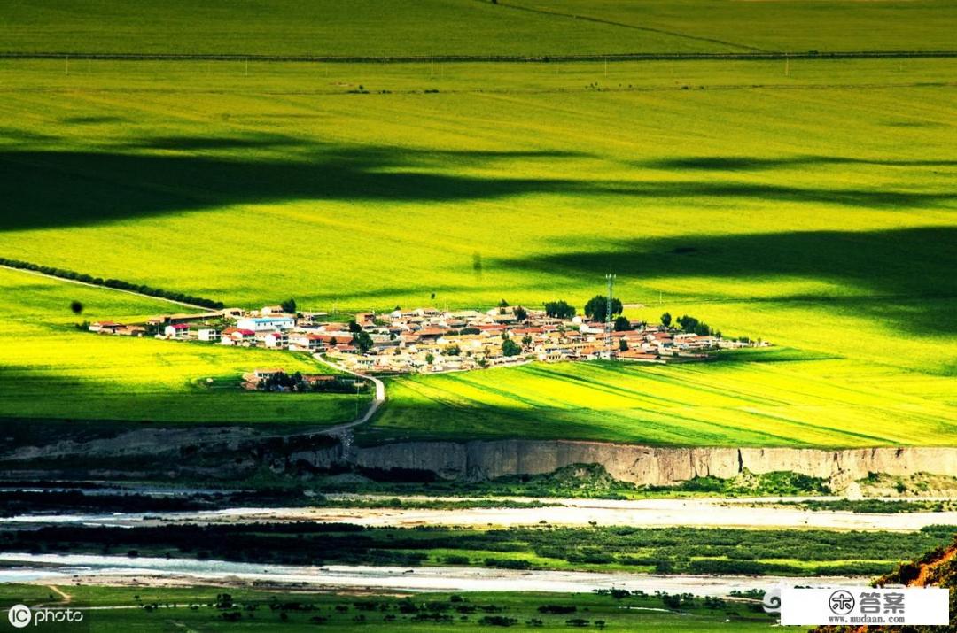 青海油菜花发朋友圈的文案？