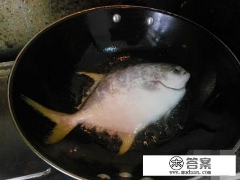 金鲳鱼为啥便宜？