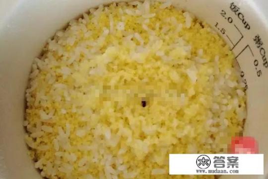 蒸小米饭做法? 蒸小米饭做法?