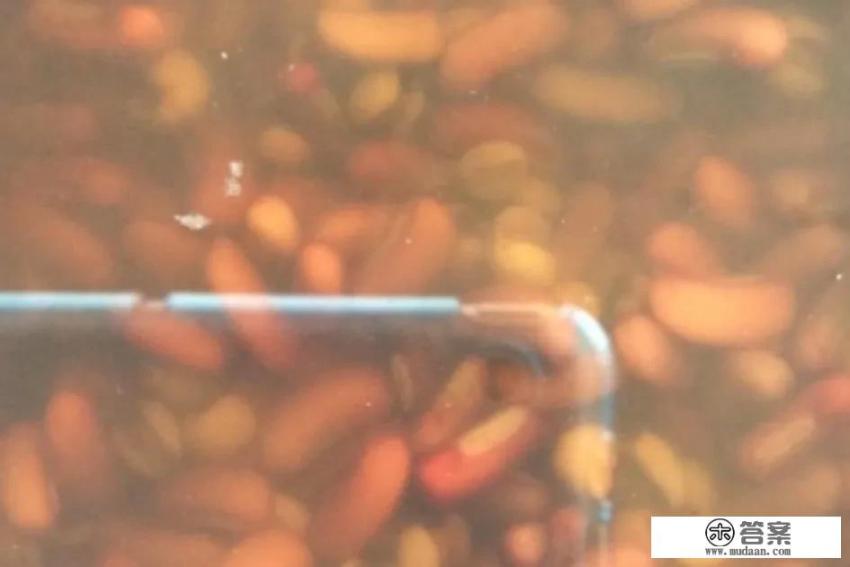 薏米赤小豆水正确煮法？