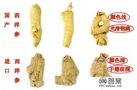 花旗参和西洋参有什么区别？