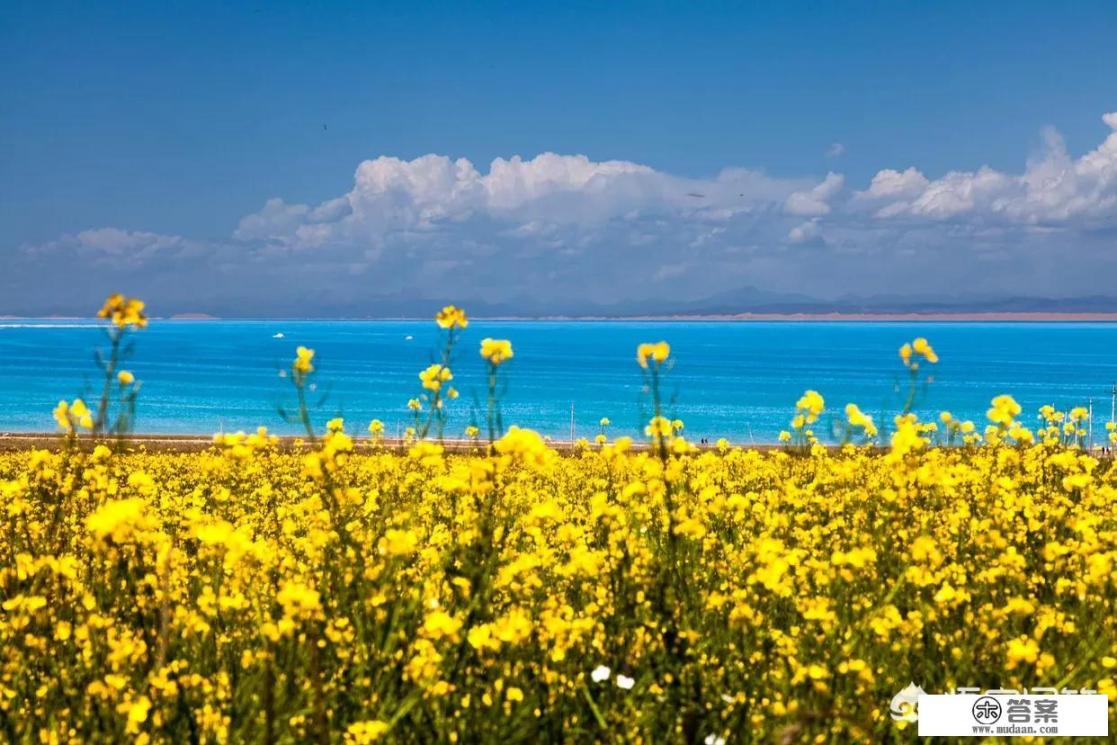 大理海西西里要门票吗？