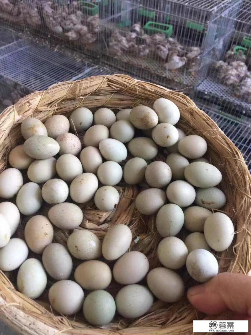 快乐英姐卖鸡蛋用什么套路? 快乐英姐卖鸡蛋用什么套路?