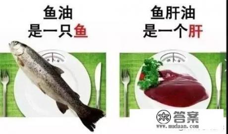 鱼油的功能？
